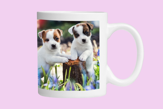 Personalised Photo Mugs